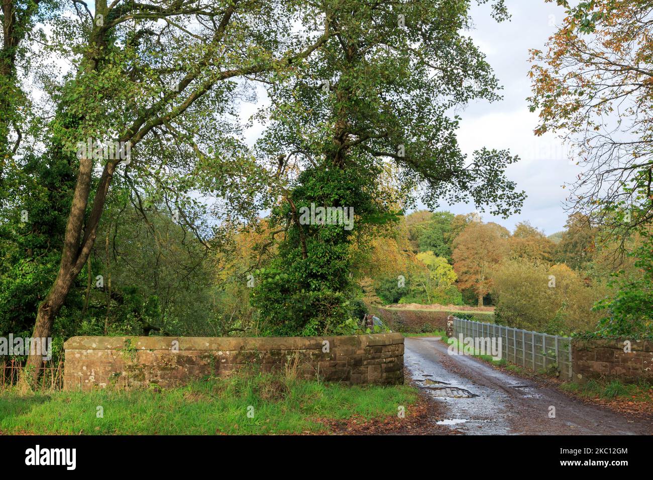 Country lane with a single track bridge over the Water of Milk river near Middleshore, Dumfies and Galloway, Scotland Stock Photo