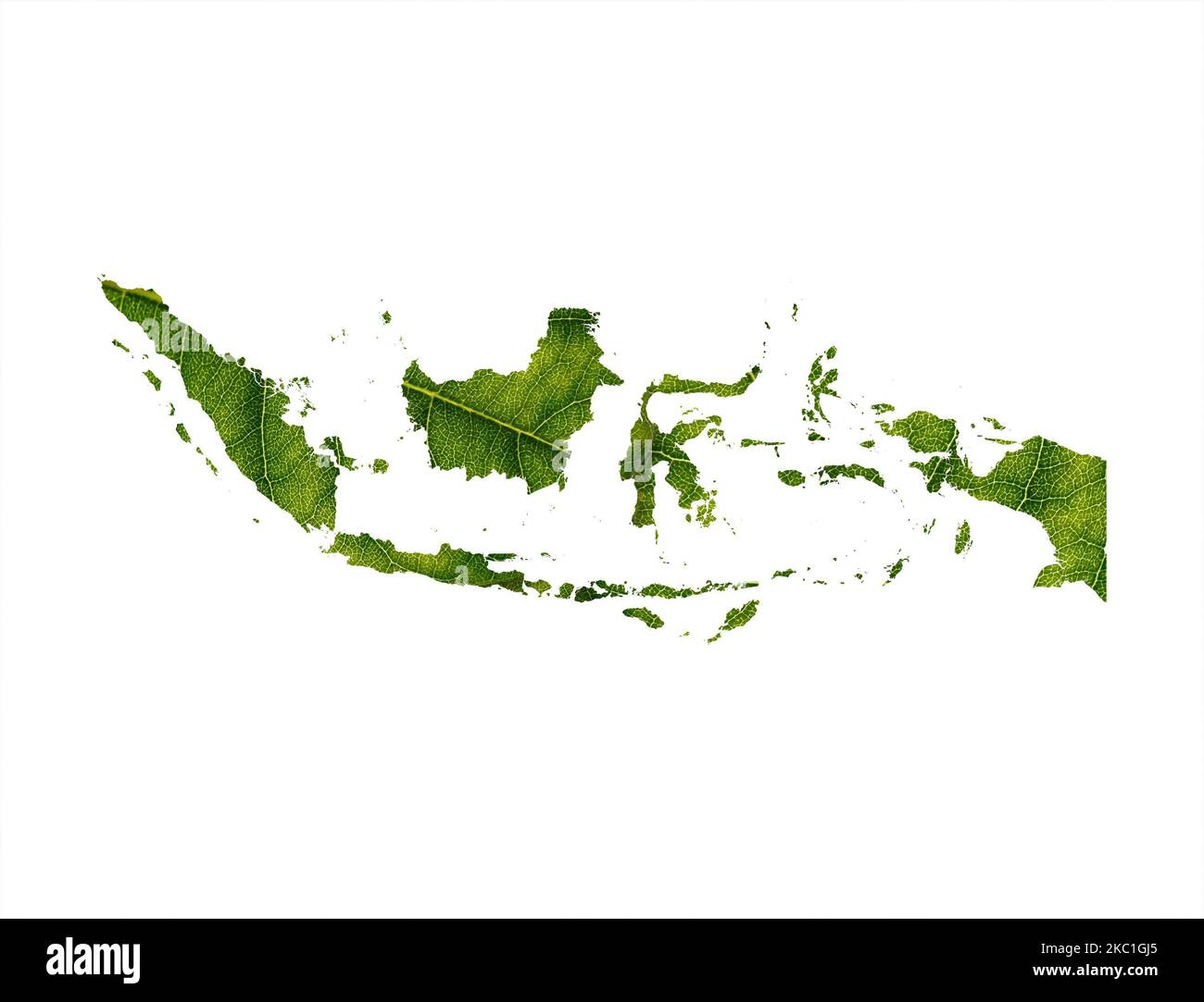 The Indonesia map in form of leaves isolated on white backgroundConcept ecology Stock Photo