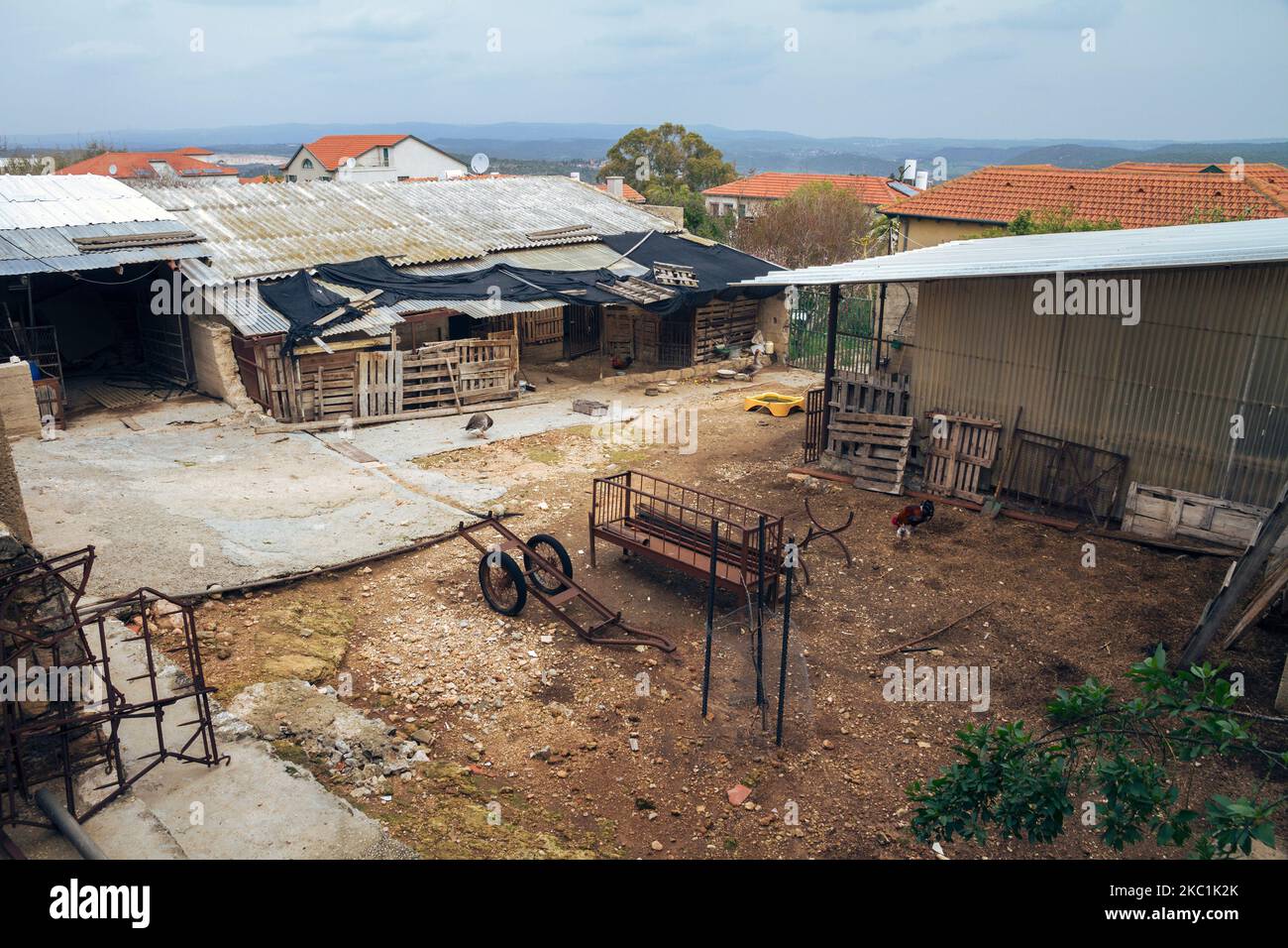 chicken coop structure, with live chickens walking around, located in