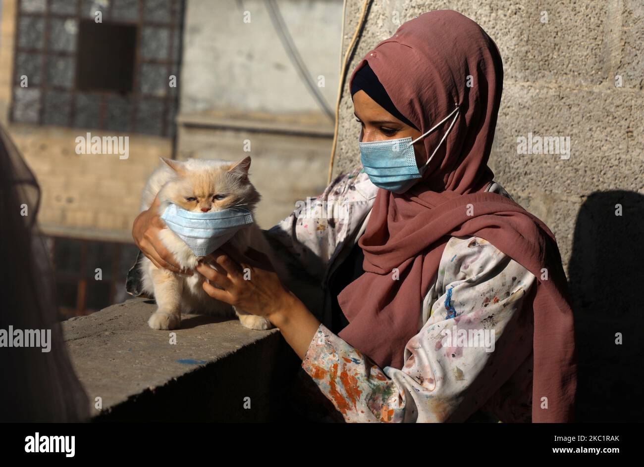 Pets during lockdown hires stock photography and images Alamy