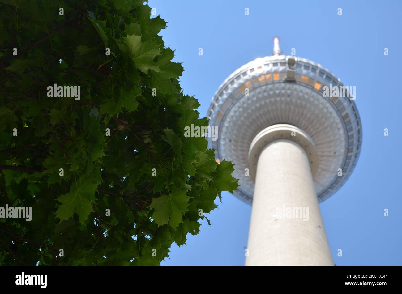 view from under a tree up to the big television tower in Berlin Stock Photo