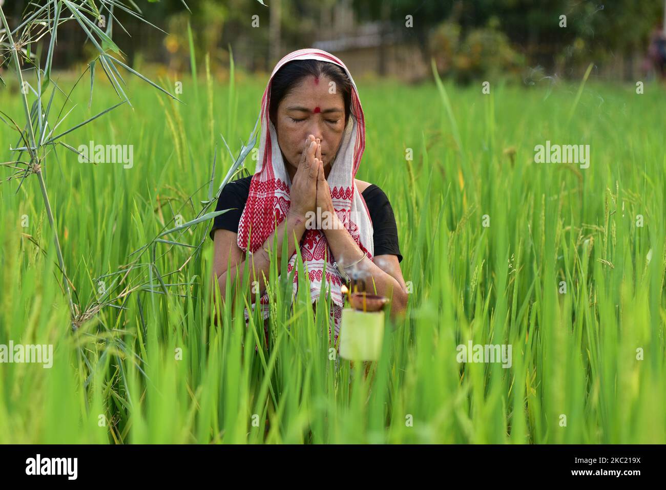 women-offers-prayers-in-his-paddy-field-on-the-occasion-of-kati-bihu
