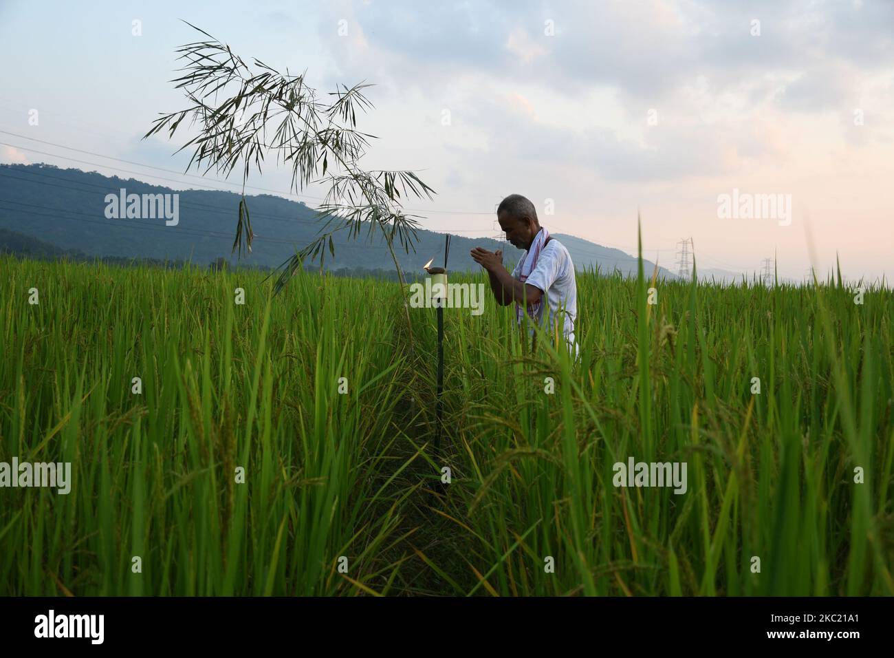 farmer-offers-prayers-in-his-paddy-field-on-the-occasion-of-kati-bihu