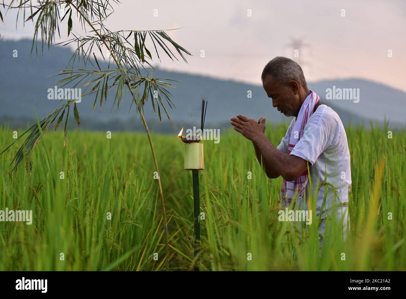farmer-offers-prayers-in-his-paddy-field-on-the-occasion-of-kati-bihu