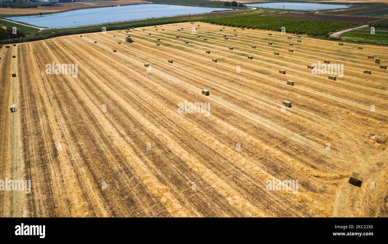 Aerial flight view of a cube baler tractor discharges a fresh wheat