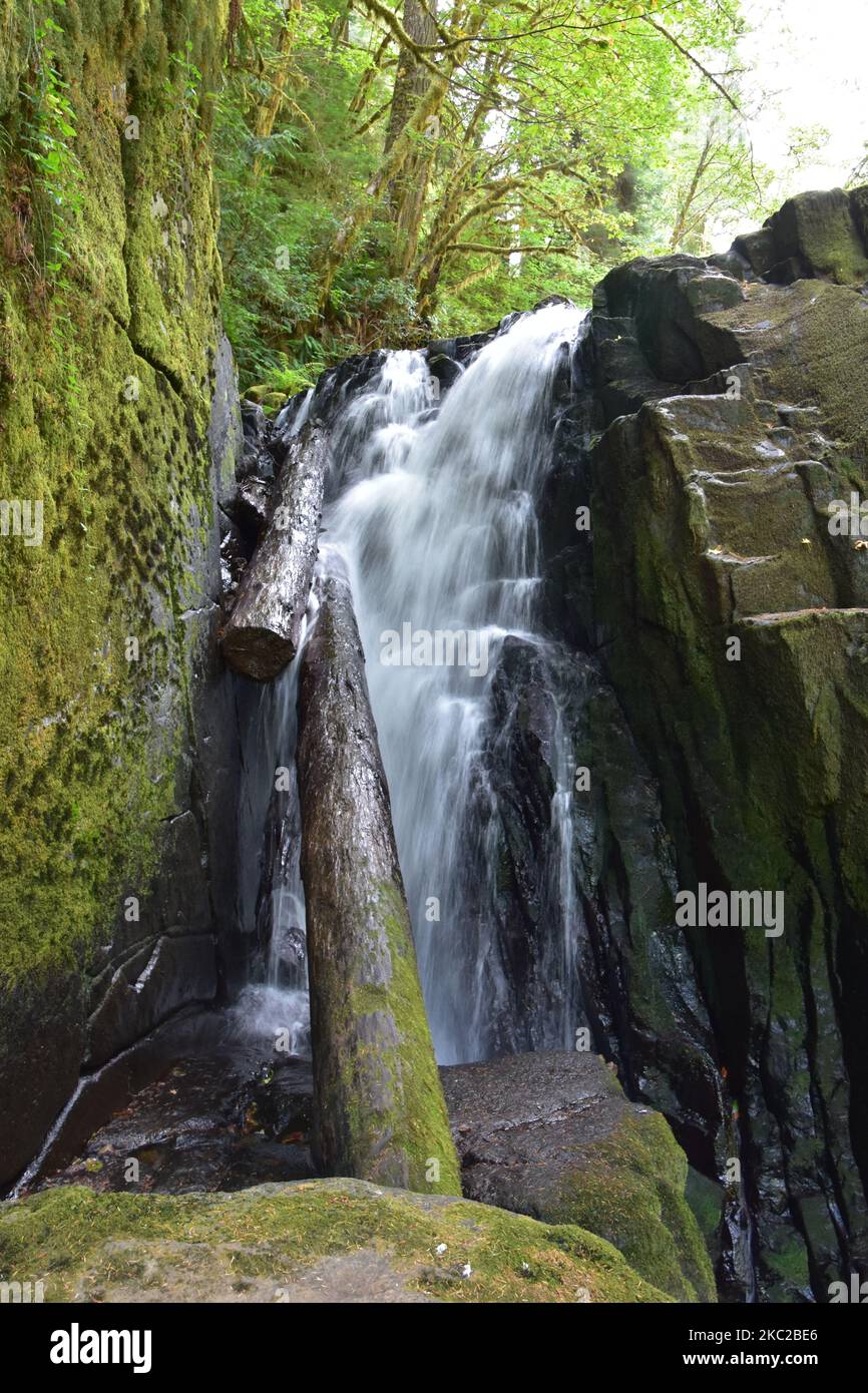 Sweet Creek Falls Waterfall along Hiking Trail Complex near Mapleton ...