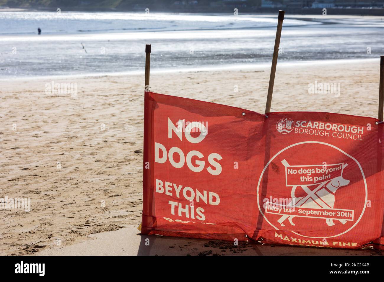 No dogs beyond this point Scarborough North Yorkshire England Stock Photo