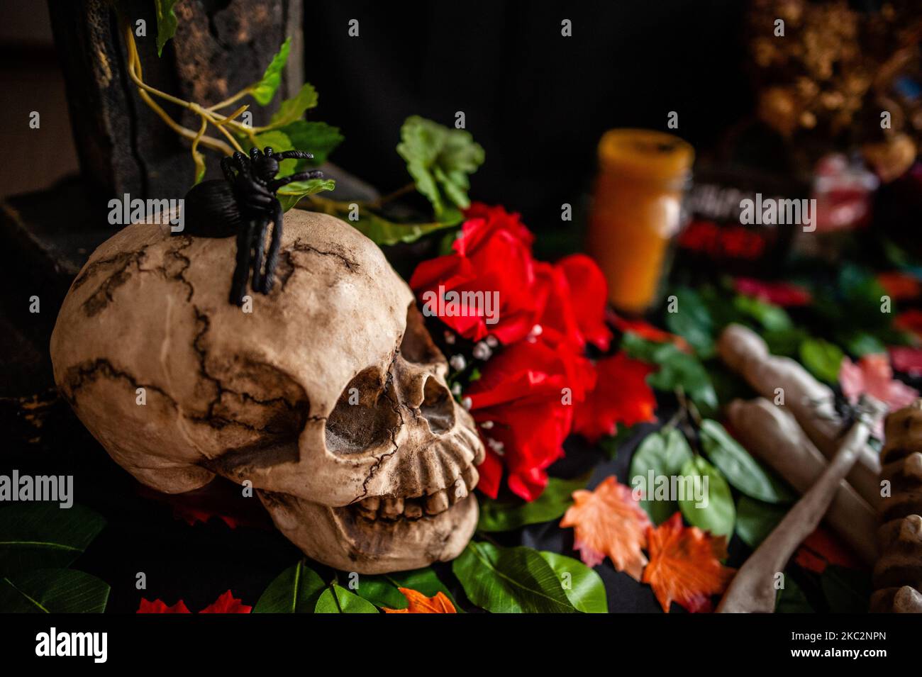 Halloween decorations are ready in a house, in The Netherlands, on October 26th, 2020. (Photo by Romy Arroyo Fernandez/NurPhoto) Stock Photo