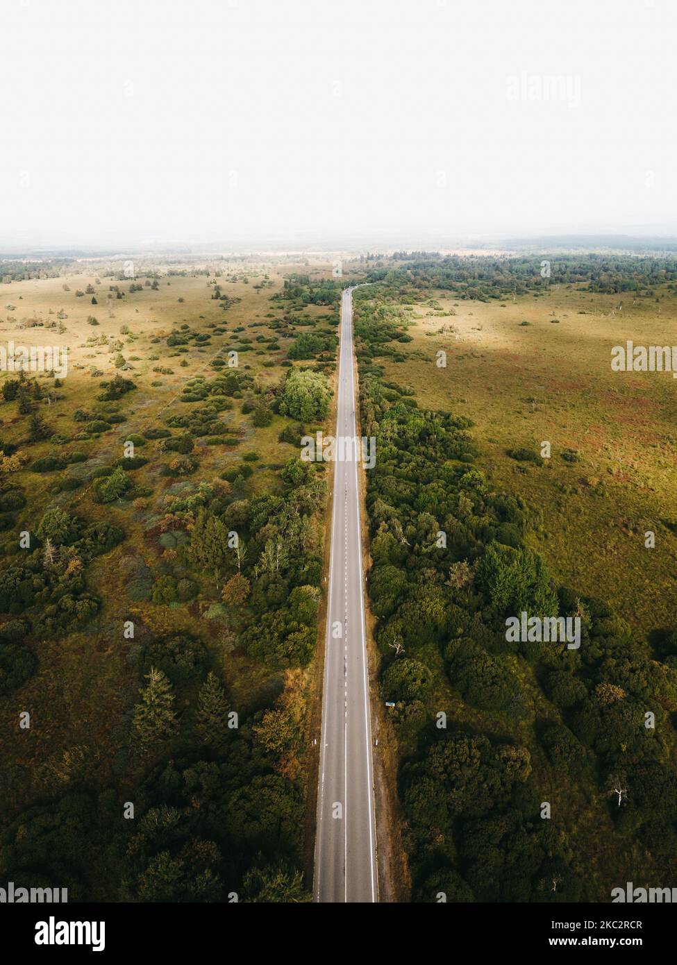 A vertical shot of a long road through the forests and fields Stock ...