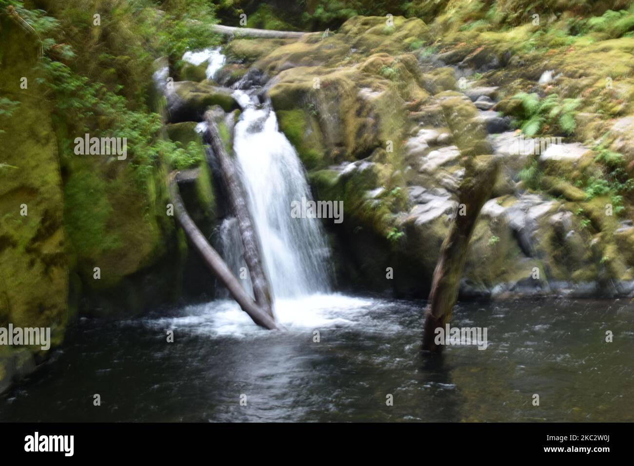 Sweet Creek Falls Waterfall along Hiking Trail Complex near Mapleton