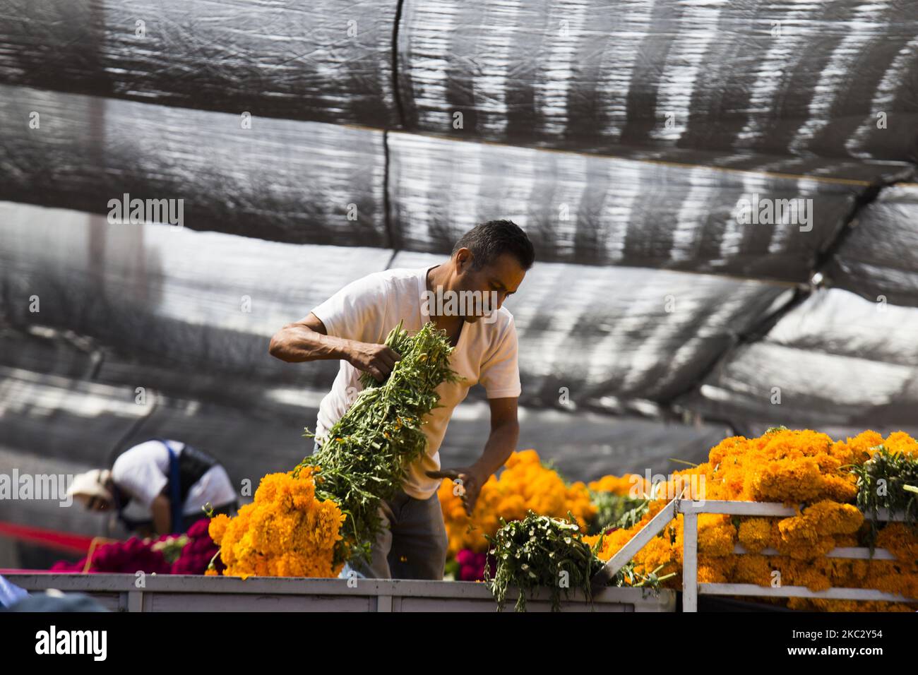 At the Mercado de Jamaica flower market, the traditional day of the