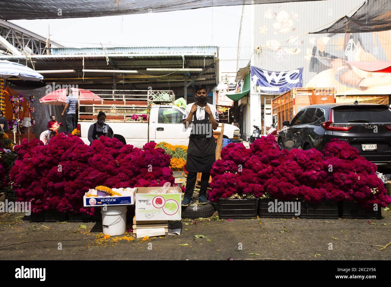 At the Mercado de Jamaica flower market, the traditional day of the