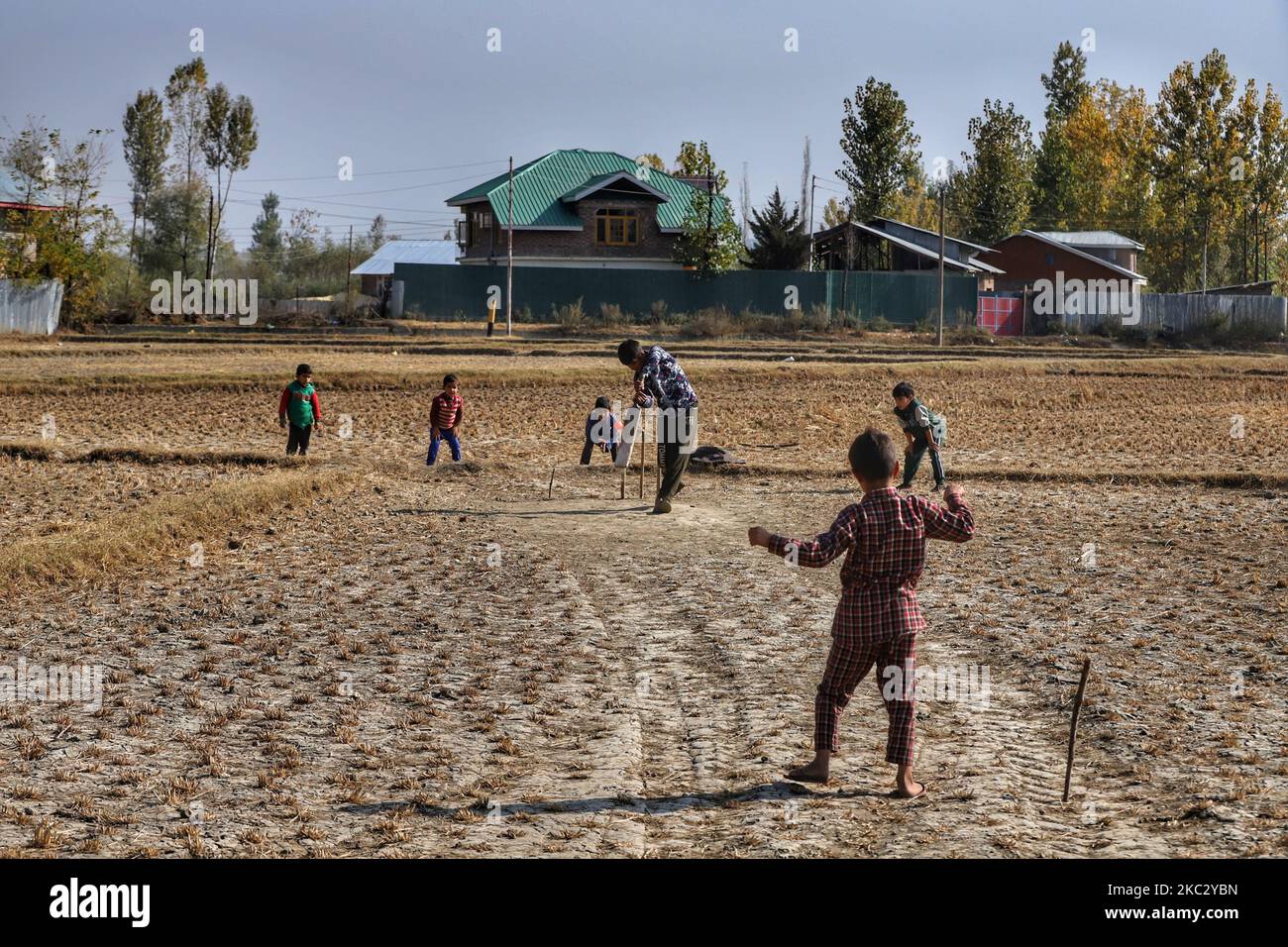 Kashmiri kids playing Cricket in agriculture Land (Paddy Fields) in the outskirts of Sopore Town in District Baramulla, jammu and Kashmir, India on 30 October 2020. As the anger grows in Jammu and Kashmir over the new land laws, which allow any Indian citizen to buy land in the Union territory, the separatist Hurriyat Conference on Wednesday broke its silence and called for a one-day shutdown on October 31 to protest the â€œanti-people movesâ€ by New Delhi. (Photo by Nasir Kachroo/NurPhoto) Stock Photo