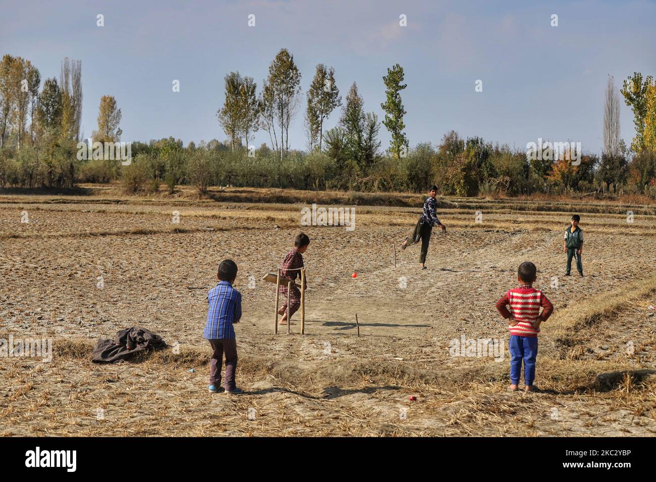 Kashmiri kids playing Cricket in agriculture Land (Paddy Fields) in the outskirts of Sopore Town in District Baramulla, jammu and Kashmir, India on 30 October 2020. As the anger grows in Jammu and Kashmir over the new land laws, which allow any Indian citizen to buy land in the Union territory, the separatist Hurriyat Conference on Wednesday broke its silence and called for a one-day shutdown on October 31 to protest the â€œanti-people movesâ€ by New Delhi. (Photo by Nasir Kachroo/NurPhoto) Stock Photo