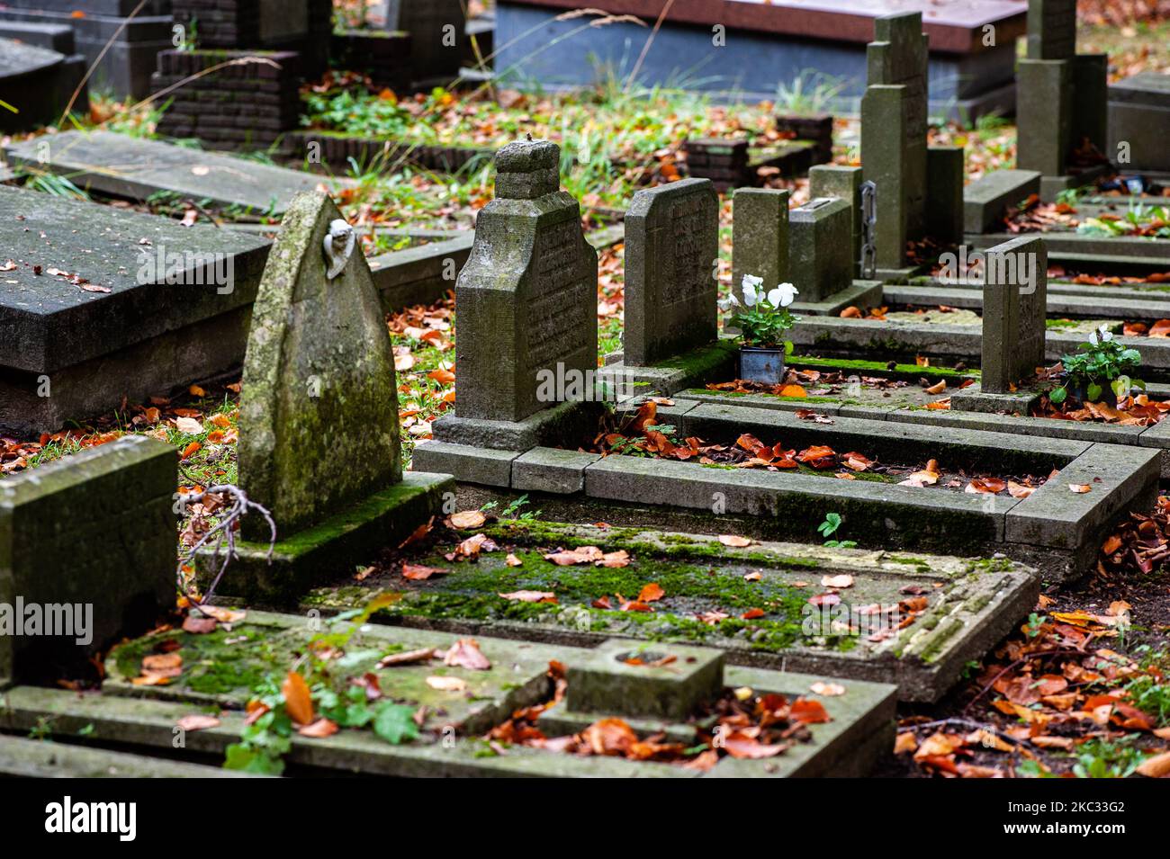 Begraafplaatsen hi-res stock photography and images - Alamy, image size:1300x955