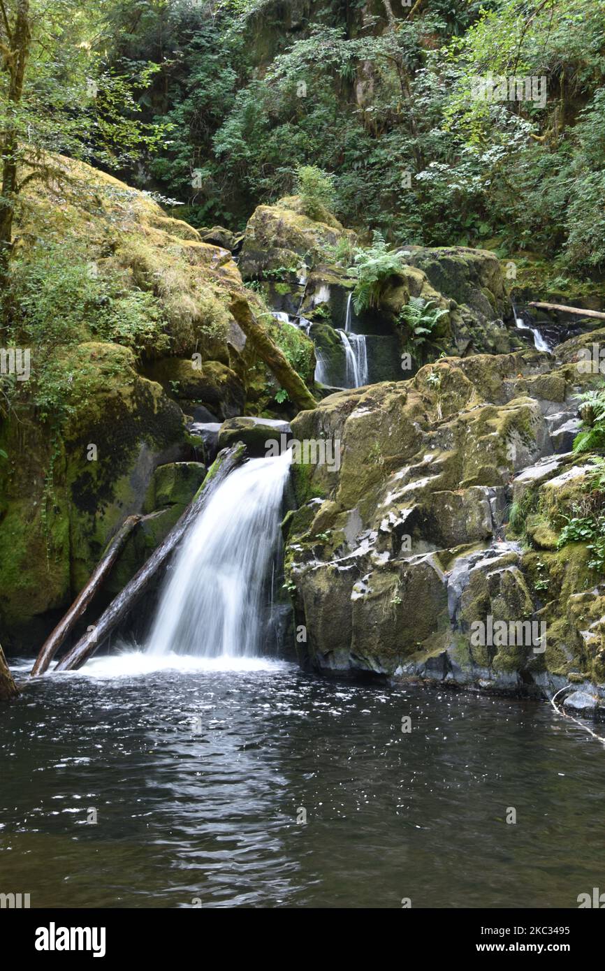 Sweet Creek Falls Waterfall along Hiking Trail Complex near Mapleton ...