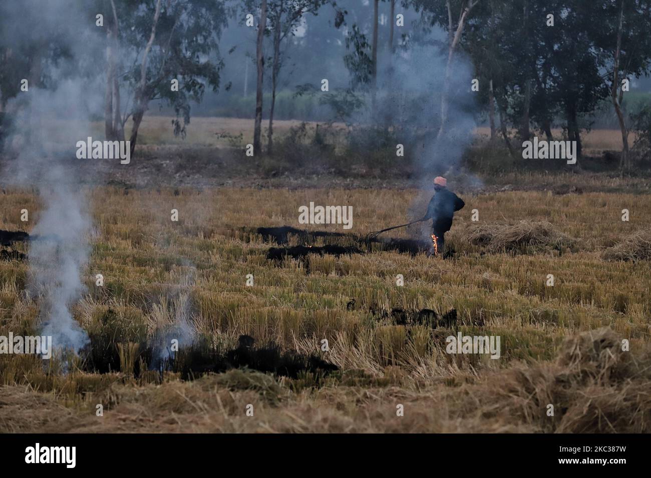 A farmer burns paddy stubble at a village in Punjab, India on 01