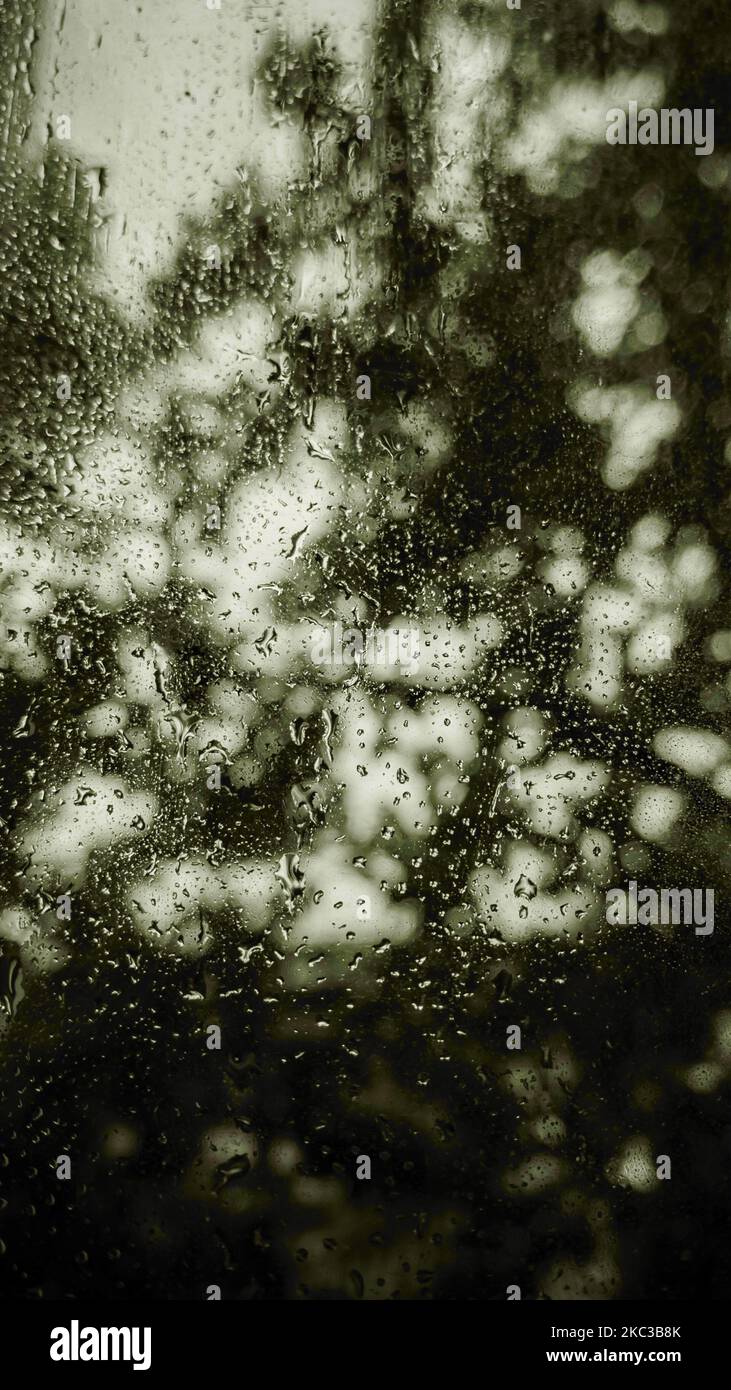 Shadow In Water A vertical of water drops and shadows on a glass Stock Photo - Alamy