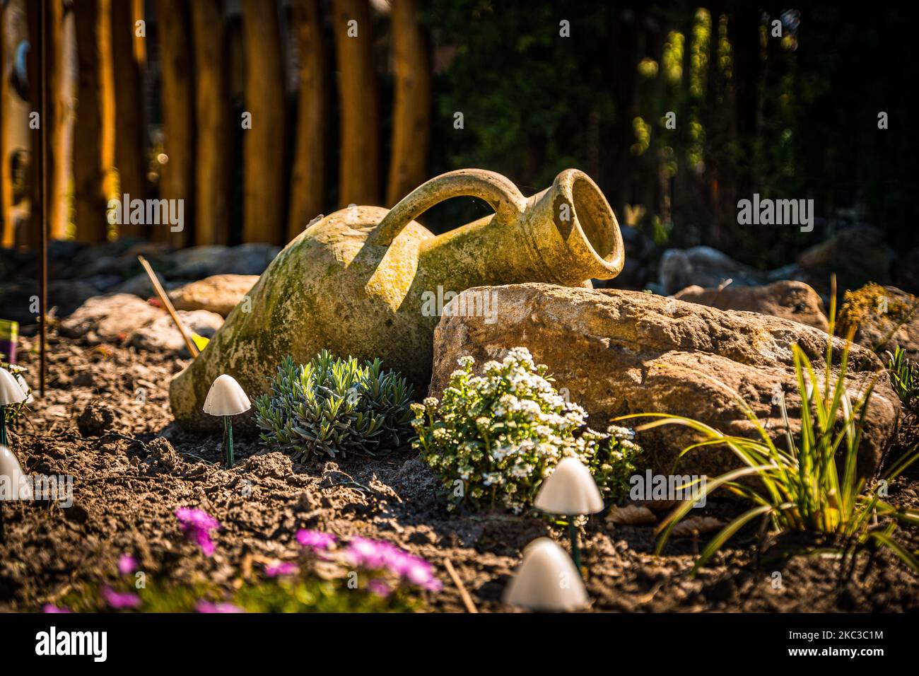 Ground pitcher plants hi-res stock photography and images - Alamy