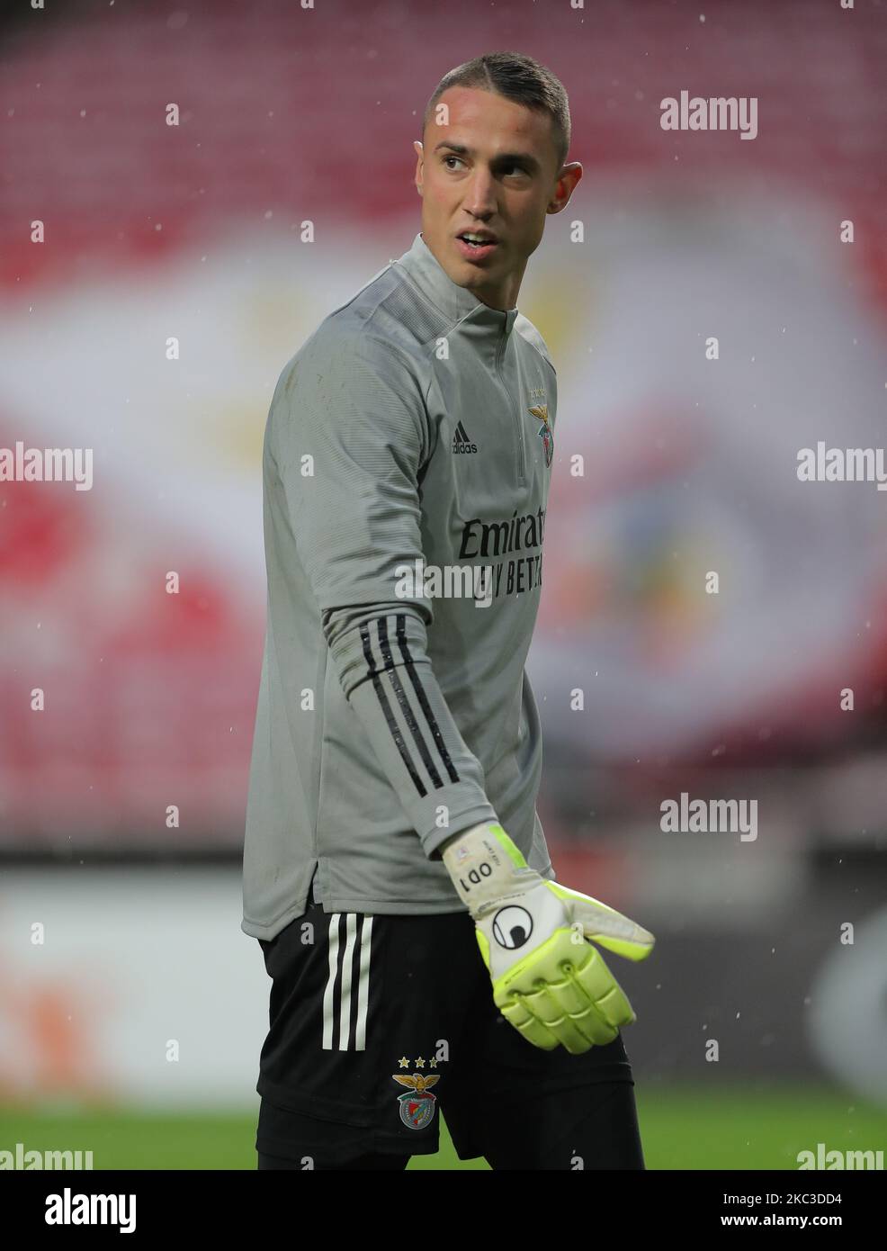 Odysseas Vlachodimos of SL Benfica in warm-up during the UEFA Europa League Group D stage match between SL Benfica and Rangers FC at Estadio da Luz on November 5, 2020 in Lisbon, Portugal. (Photo by Paulo Nascimento/NurPhoto) Stock Photo