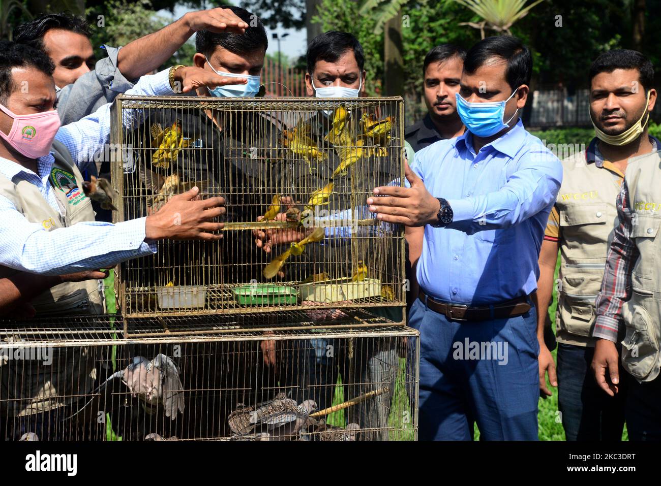 A mobile court of Rapid Action Battalion releasing wild birds after