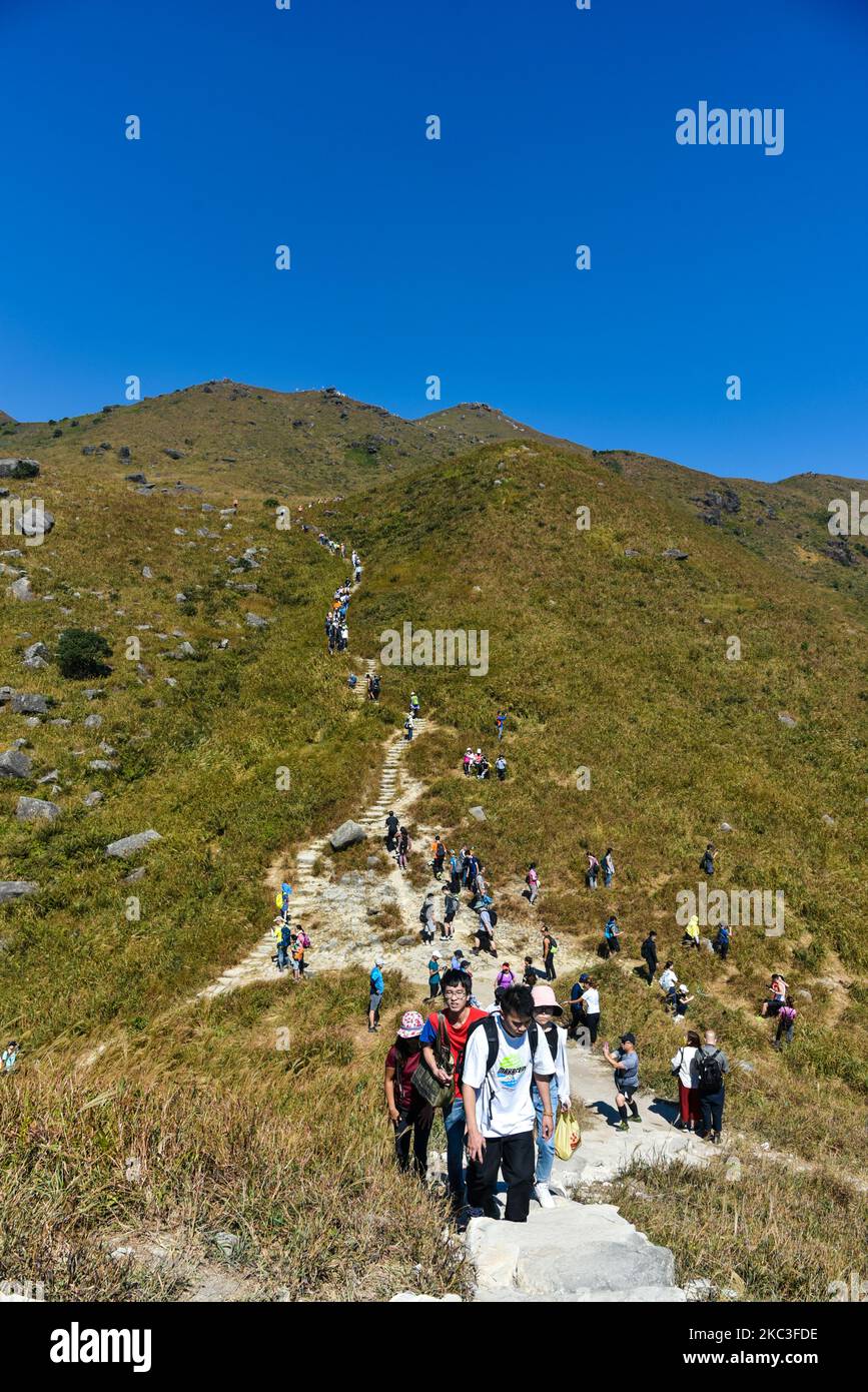 Hikers queue up to climb on Sunset Peak, on the island of Lantau in Hong Kong, China on November 7, 2020. As temperatures have become fresher, many hongkongers have headed out to the outdoors, sometimes creating real ''traffic jams'' on the mountains. (Photo by Marc Fernandes/NurPhoto) Stock Photo