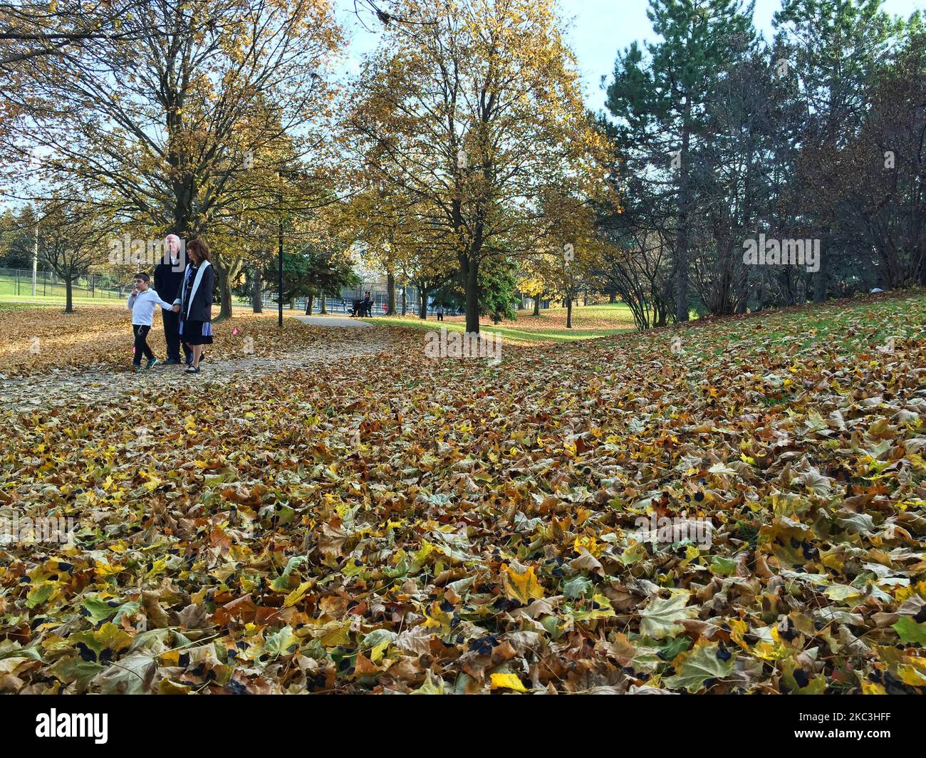 People walk amongst the Autumn leaves at a park in Toronto, Ontario, Canada, on November 07, 2020. Toronto is experiencing the warmest stretch of November weather in history with temperatures hitting a high of 20 degrees celsius. Friday's high of 20.8 °C broke the record of 20.5 °C set in 2015 and Sunday temperatures in Toronto are expected to reach 20°C. This trend will continue into the early days of next week as well. (Photo by Creative Touch Imaging Ltd./NurPhoto) Stock Photo
