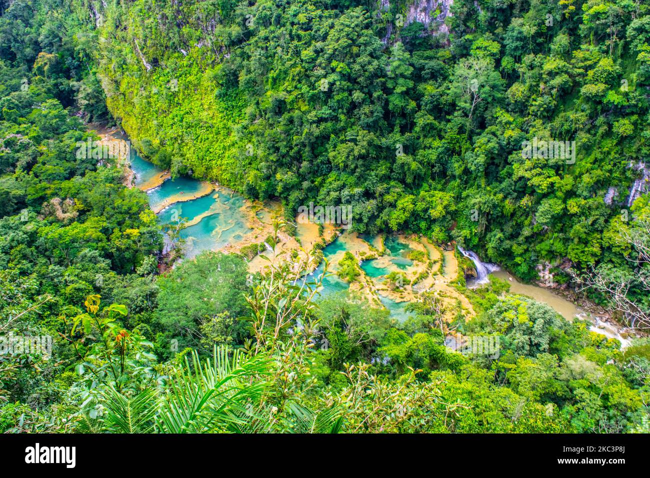Bosque de guatemala hi-res stock photography and images - Alamy