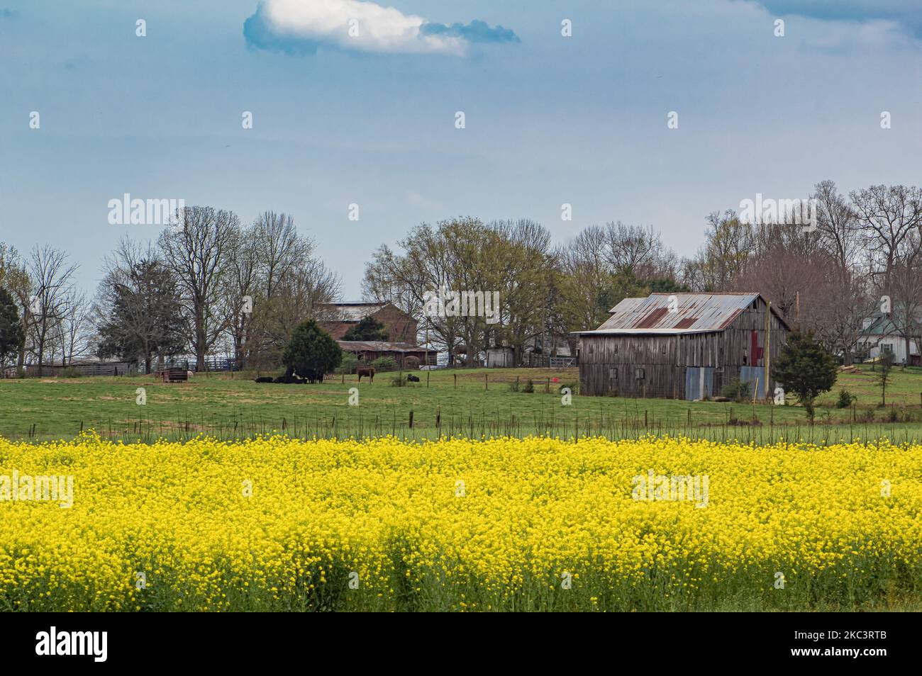 A Landscape with rural wooden house on a sunny day Stock Photo - Alamy