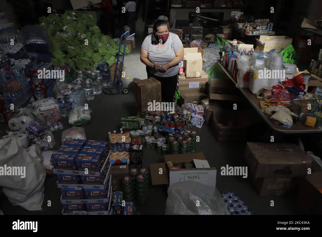 Worker at the Casa de Tabasco Carlos Pellicer located in Mexico City, during the classification of provisions and non-perishable food before the declaration of emergency for some municipalities of the state of Tabasco to be distributed to its population, due to the floods registered since first days of November in both regions. (Photo by Gerardo Vieyra/NurPhoto) Stock Photo