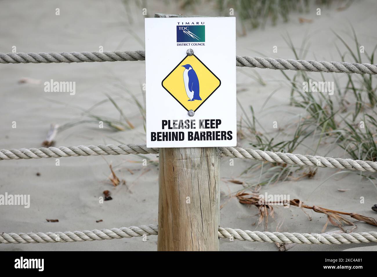 A sign board to protect penguins is seen in front of the little blue penguins colony at Caroline Bay in Timaru, New Zealand, on November 20, 2020. Little Blue Penguins are the world's smallest penguins. They are approximately 30cm tall, weigh around 1kg as an adult, and live to about 8-10 years old. (Photo by Sanka Vidanagama/NurPhoto) Stock Photo