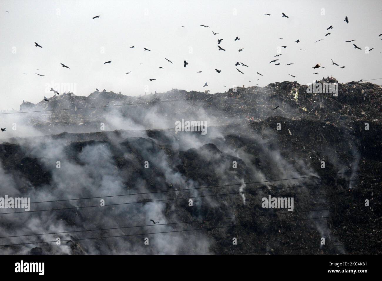 A view of smoke billowing after a fire broke out at east Delhi's ...