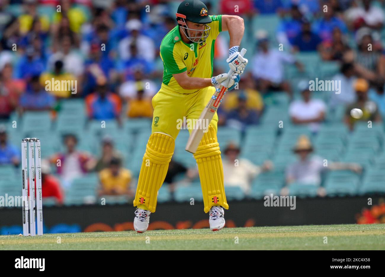 Aaron Finch of Australia bats during game two of the One Day International series between Australia and India at Sydney Cricket Ground on November 29, 2020 in Sydney, Australia. ( Strictly Editorial use only) (Photo by Izhar Khan/NurPhoto) Stock Photo