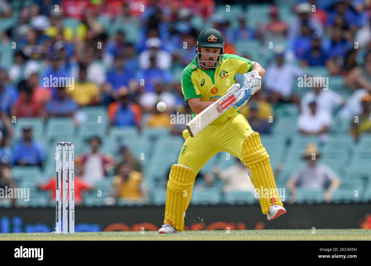 Aaron Finch of Australia bats during game two of the One Day International series between Australia and India at Sydney Cricket Ground on November 29, 2020 in Sydney, Australia. ( Strictly Editorial use only) (Photo by Izhar Khan/NurPhoto) Stock Photo