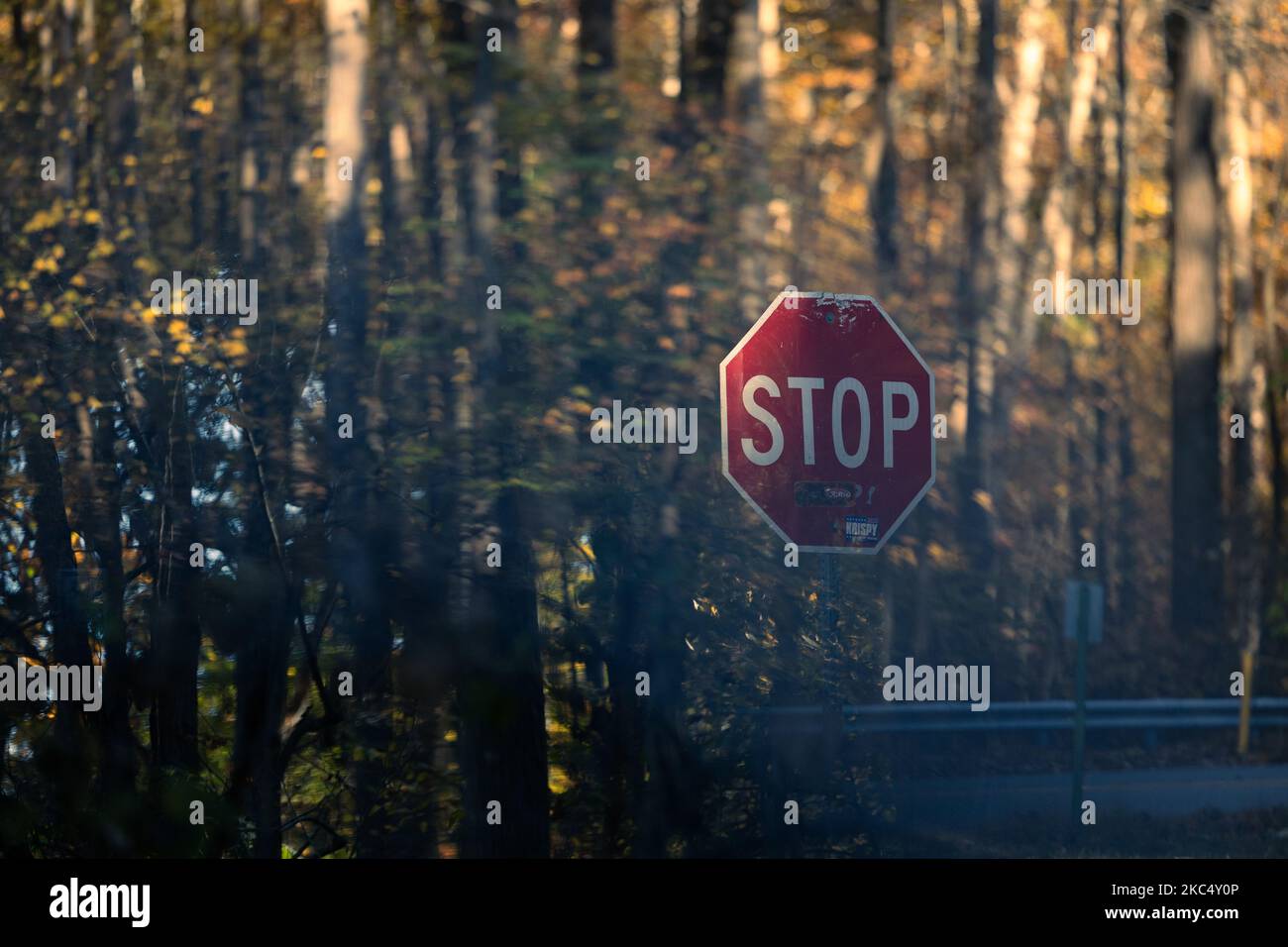 A stop sign on the background of trees Stock Photo - Alamy
