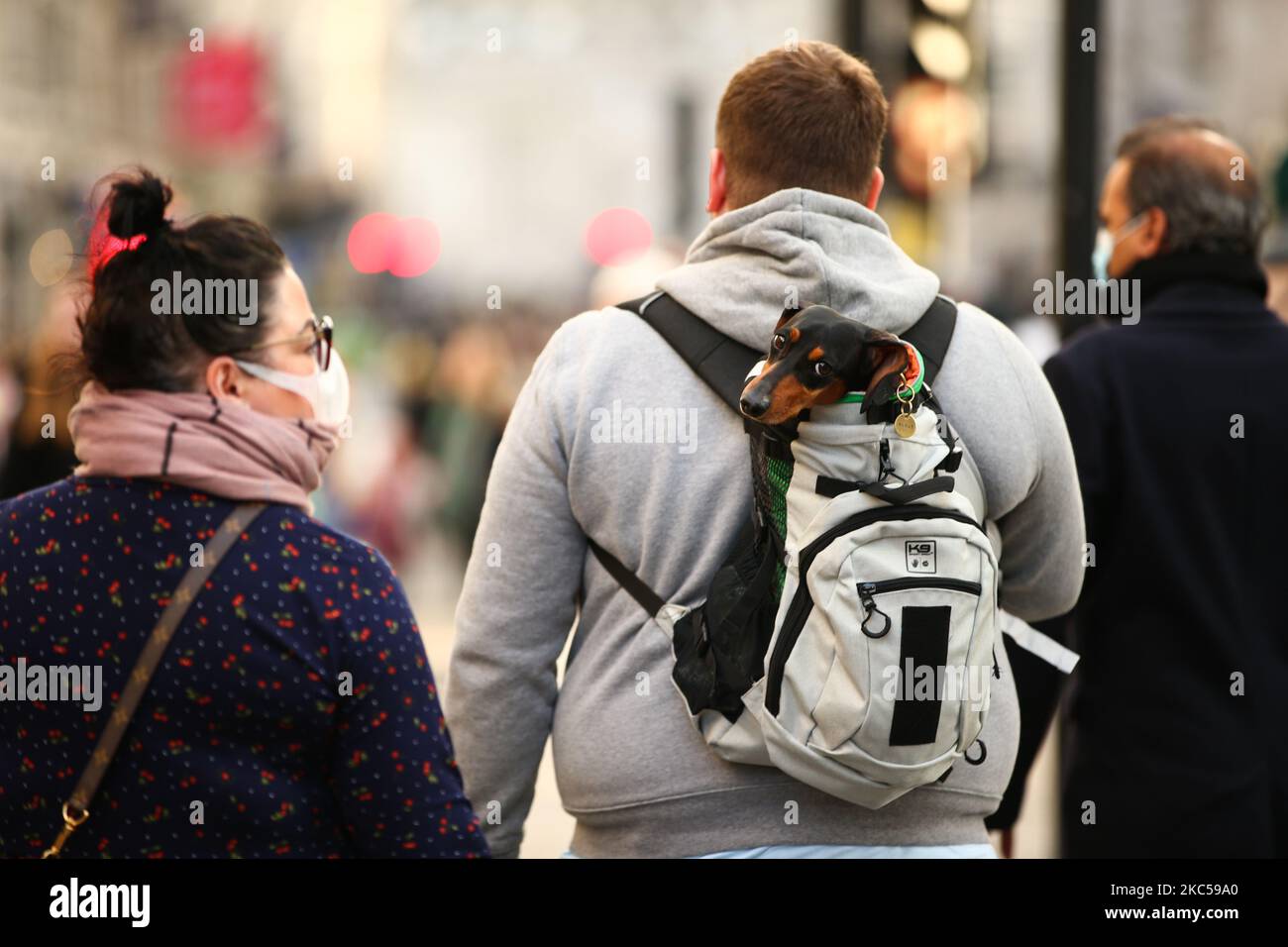 A dog being carried in a backpack looks backwards on a temporarily-pedestrianised Regent Street in London, England, on December 5, 2020. London has returned to so-called Tier 2 or 'high alert' coronavirus restrictions since the end of the four-week, England-wide lockdown last Wednesday, meaning a reopening of non-essential shops and hospitality businesses as the festive season gets underway. Rules under all three of England's tiers have been strengthened from before the November lockdown, however, with pubs and restaurants most severely impacted. In London's West End, meanwhile, Oxford Street  Stock Photo