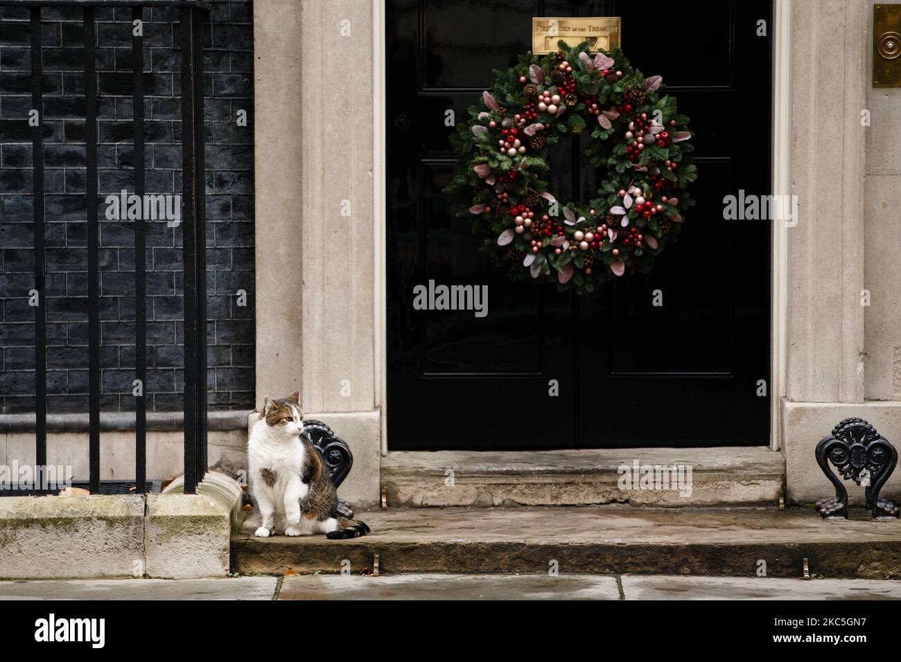 Resident cat Larry sits outside the door of 10 Downing Street, currently adorned with a Christmas wreath for the festive season, in London, England, on December 9, 2020. (Photo by David Cliff/NurPhoto) Stock Photo