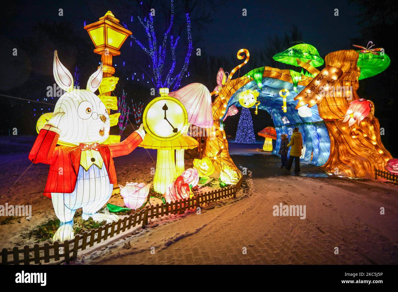 Alice rabbit museum hi-res stock photography and images - Alamy