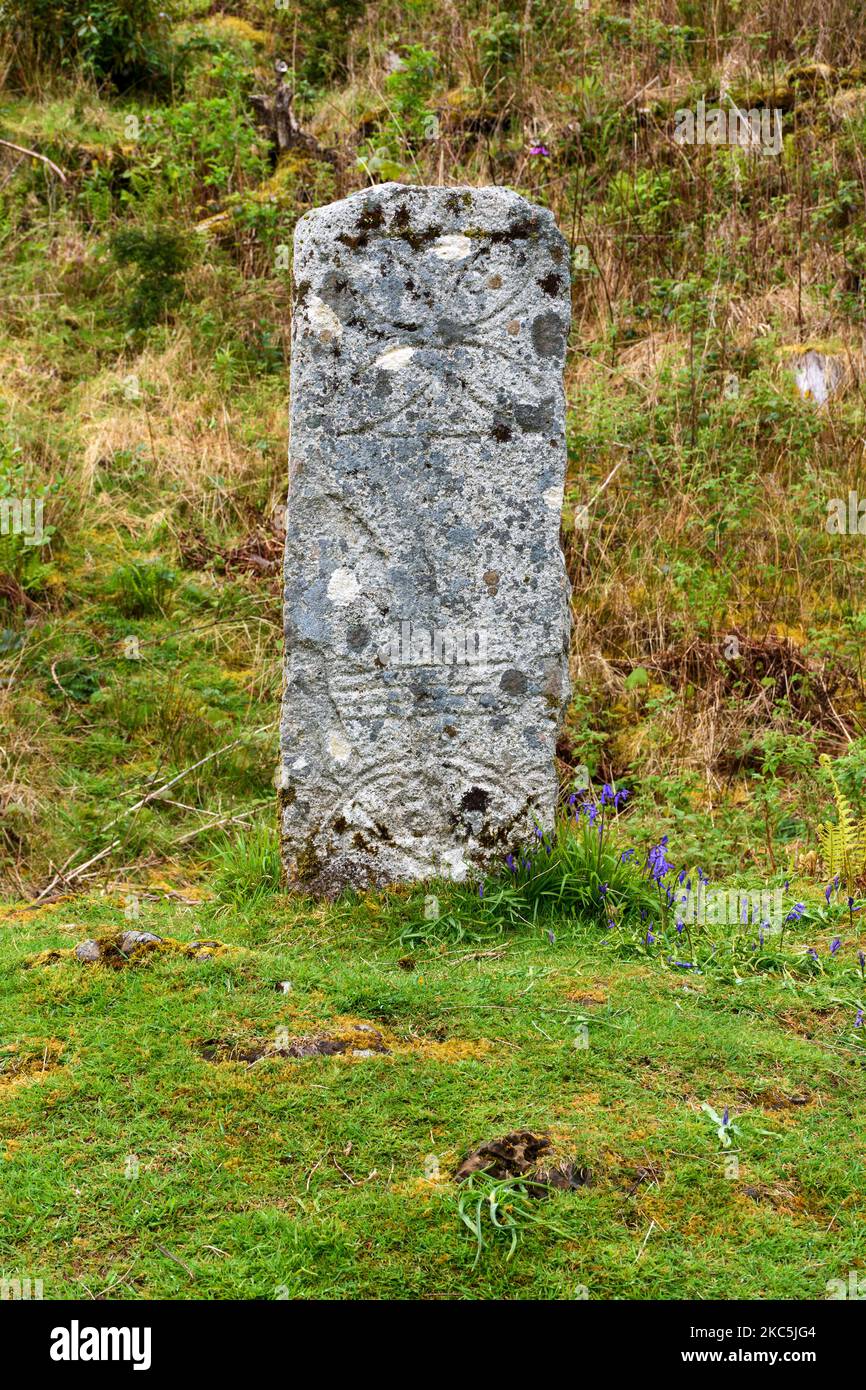 The Pictish Symbol Stone, believed to have been carved between the years 650 and 700, near Raasay House, Isle of Raasay, Scotland, UK Stock Photo