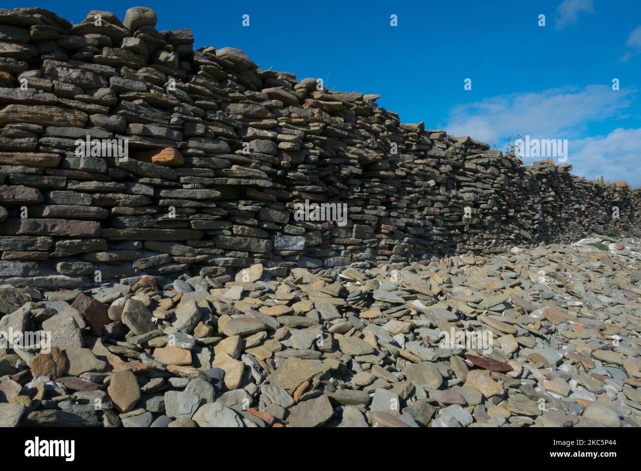 Sheep Wall on North Ronaldsay, Orkney, built to keep the sheep on the beach and off the land Stock Photo