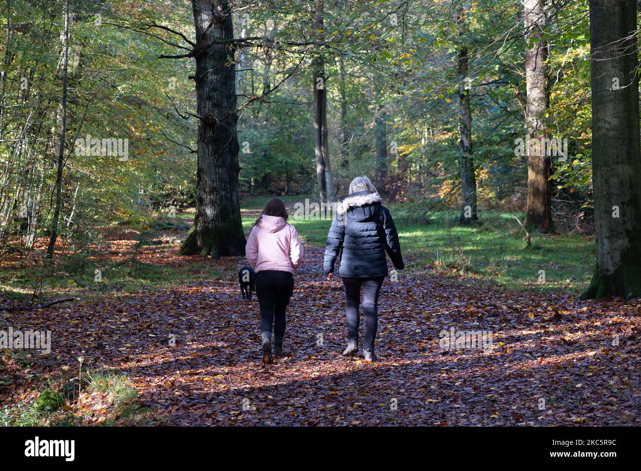 Penn Street, Buckinghamshire, UK. 4th November, 2022. Walkers out