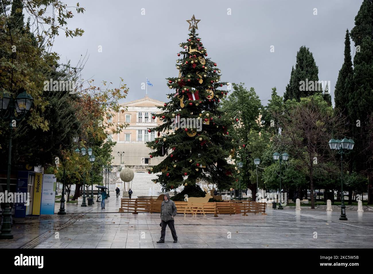 The real 15 meters high, Christmas tree at Syntagma square in Athens ...
