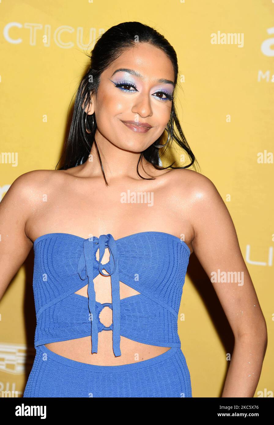 WEST HOLLYWOOD, CA - NOVEMBER 03: Sri Ramesh attends 2022 amfAR Gala ...