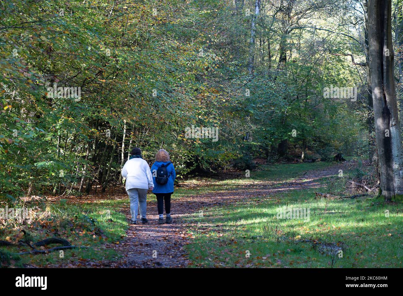 Penn Street, Buckinghamshire, UK. 4th November, 2022. Walkers out