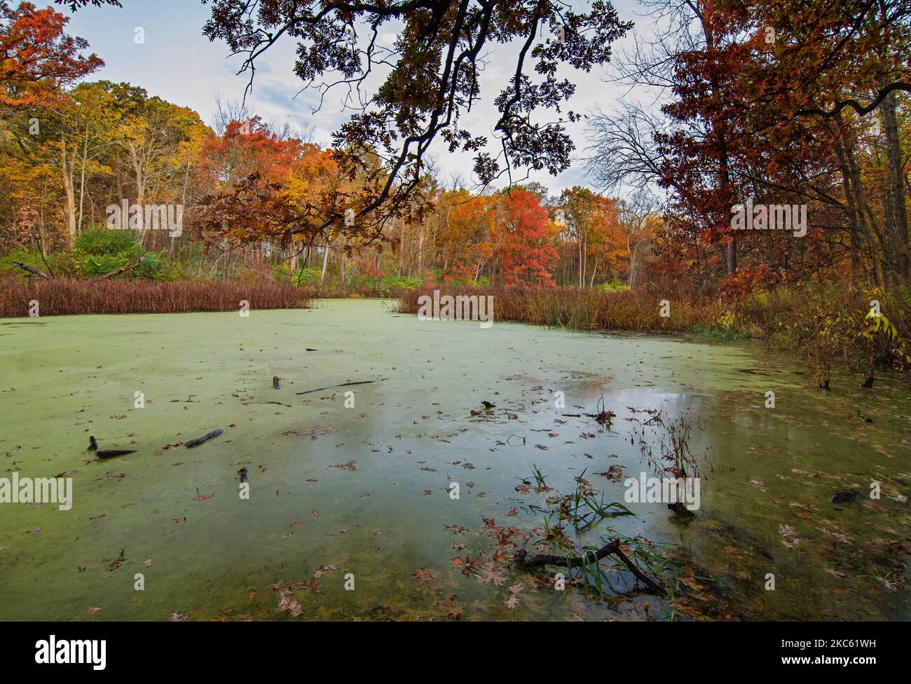 Marlk&rsquo;s Pond sits rimmed with autrumn color in Green Valley Foret 