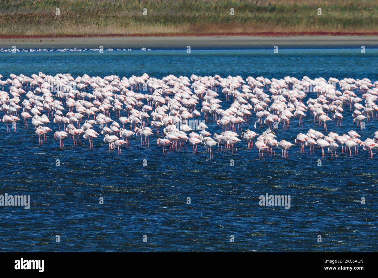 Axios loudias aliakmonas national park hires