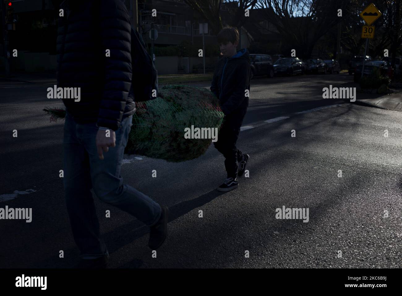 A father and son crossing the street while carrying a Christmas tree