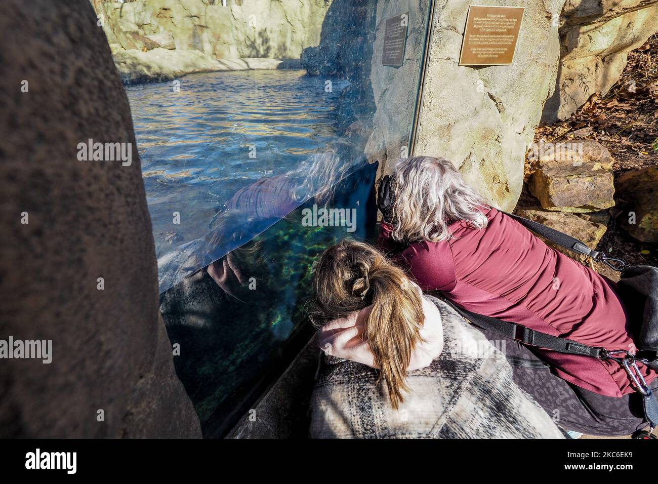 A Woman And Her Daughter Look For Fiona The Hippo During The Annual PNC a-woman-and-her-daughter-look-for-fiona-the-hippo-during-the-annual-pnc