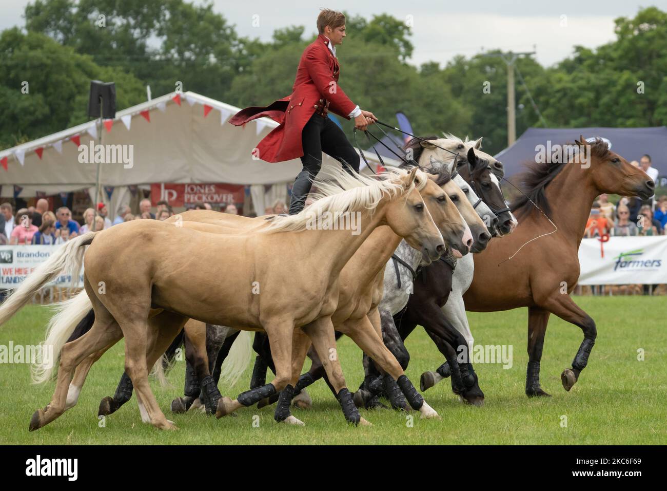 The Atkinson Horses performing at the Denbighshire and Flintshire show