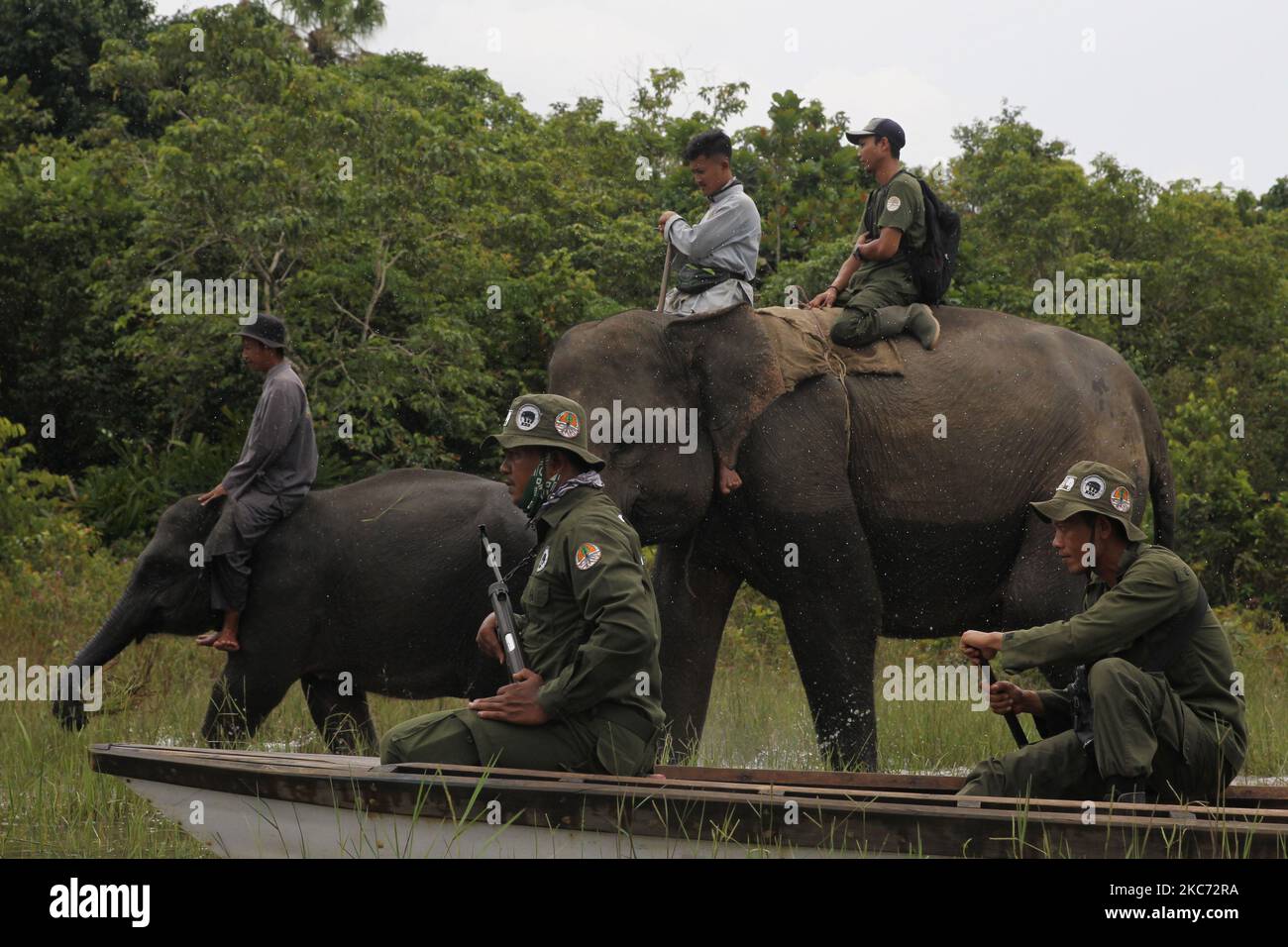 Team from the Elephant Response Unit (ERU) Patrol conducts area inspection and camera trap checks in the Way Kambas National Park area, Bungur area, Lampung, Sumatra on January, 6, 2021. (Photo by Dasril Roszandi/NurPhoto) Stock Photo
